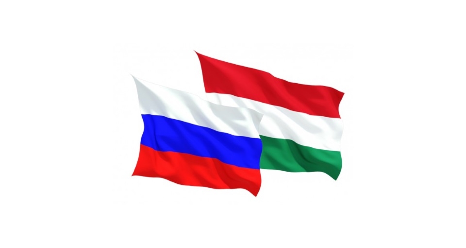 Заседание Российско-Венгерской межправительственной комиссии по межрегиональному сотрудничеству